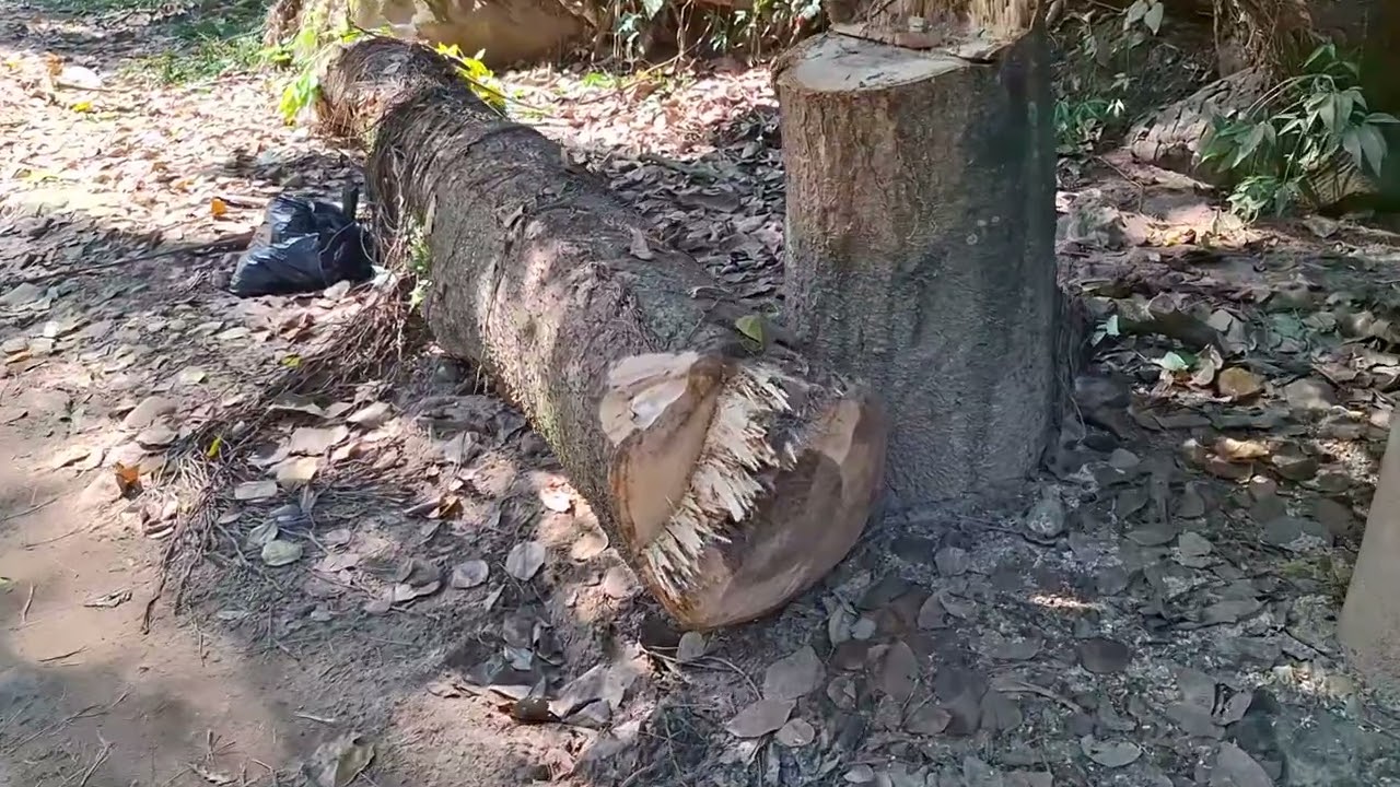 Exigen la instalación de una caseta de control en el ingreso a Villa Autónoma Exigen la instalación de una caseta de control en el ingreso a Villa Autónoma