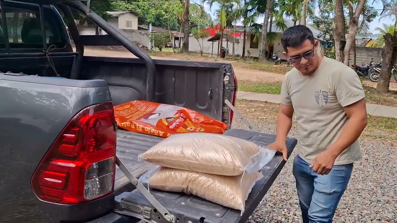 Productores de arroz llegan a Tarapoto para impulsar sus ventas ante crisis económica Productores de arroz llegan a Tarapoto para impulsar sus ventas ante crisis económica